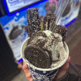 スノーウィー ヴィレッジ_1