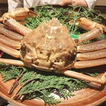 膳司 水光庵 - 