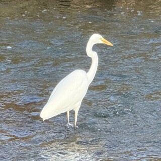 アサカベーカリー_1