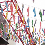 ル・パン・コティディアン - 5月に行くと鯉のぼりが泳いでました