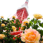 ル・パン・コティディアン - 東京タワーからすぐ近く