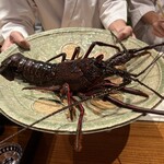 日本料理 別府 廣門 - 