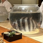 日本料理 別府 廣門 - 