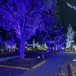 アジアンダイニング 金魚蘭 - 