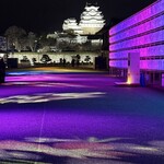 アジアンダイニング 金魚蘭 - 