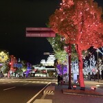 アジアンダイニング 金魚蘭 - 