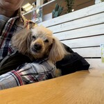 DOG DEPT.+CAFE Karuizawapurinsuten