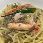 PASTA FRESCA TORNESTA - 