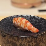 THE SUSHI りょうけん - 熊本県産 車エビ