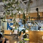 ウッドベリーズ - 