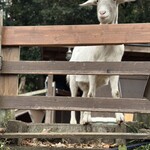 ローストビーフの店 Watanabe - 