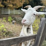 ローストビーフの店 Watanabe - 