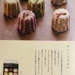 本町 カメリヤ - パンフレット