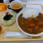 すだち - 市場のまかないカレー（普通）