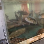 ひょうたん寿司 - 