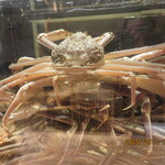 近江町・海鮮市場料理 市の蔵 - 