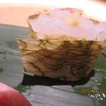 とやま鮨 海富山 - 