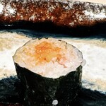 札幌 すし白 - トロタク