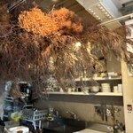 アマムダコタン - 