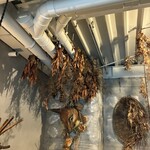 アマムダコタン - 