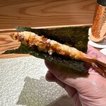 鮨ト酒肴 富かわ - 