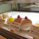 3337793 - ショーケース1