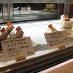 3337795 - ショーケース3