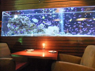 銀座で合コン 雰囲気も良いおしゃれなお店16選 食べログまとめ 銀座で合コン 雰囲気も良いおしゃれなお店16選 食べログまとめ