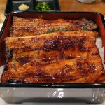 うなぎの館 天龍 - 料理写真:うな重