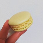 Patisserie&Viennoiserie tremolo - 