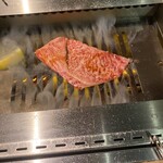 NO MEAT,NO LIFE. 6x - 