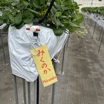 小谷野果樹園 - 