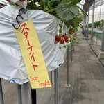 小谷野果樹園 - 