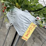 小谷野果樹園 - 