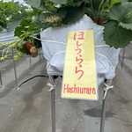 小谷野果樹園 - 