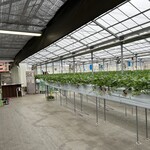 小谷野果樹園 - 