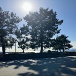 スターバックスコーヒー - 