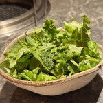 北新地焼肉 きらく - 