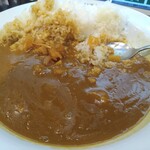 CoCo壱番屋 - 料理写真:ポークカレー 646円 500g 260円