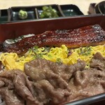 東京染井温泉 サクラ - 