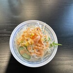 カレーとナンの専門店 ルンビニ - タンドリーチキンセット（サラダ）