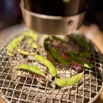 ホルモン しんちゃん - 