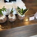 crema donut. - レジ周り