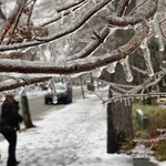 ザ・プリンス - 