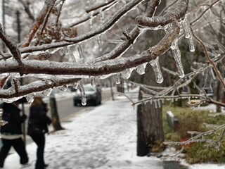 The Prince Karuizawa