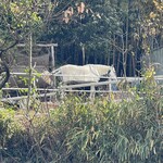 ブロート リーベン 都田店 - 