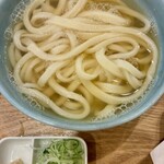 手打ちうどん 上を向いて - 百名店のかけうどん、完成形