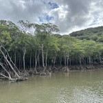 ラフラガーデン - 