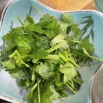 武蔵野うどん 澤村 - もりもりパクチー最高