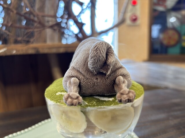 BEARS caffe - かみのやま温泉（カフェ）の写真